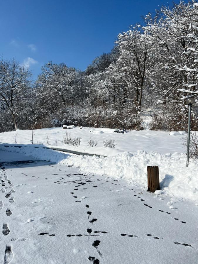 Pensiunea Osencuta タルマチウ エクステリア 写真